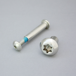 Truss Head (Torx) Internal Threaded Screw