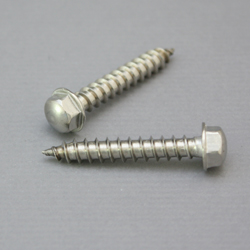 Hexagon Cap w. Collar Tapping Screw